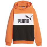 Sudadera Con Capucha Puma