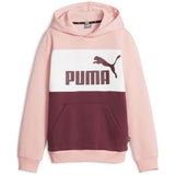 Sudadera Con Capucha Puma