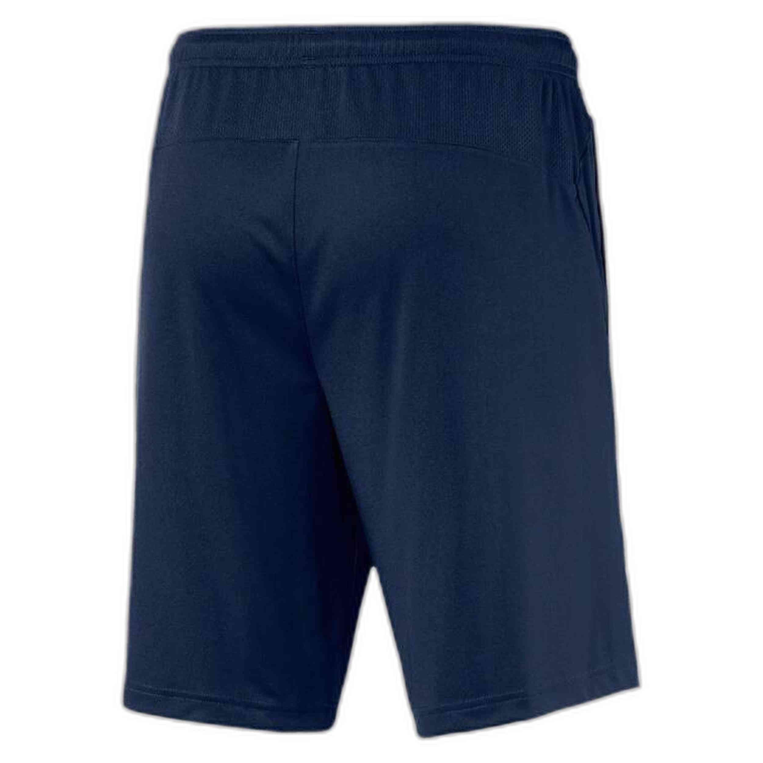 Pantalon Corto Puma 939264-06