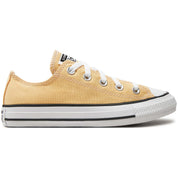 Converse Chuck Taylor All Star Sneakers