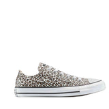 Converse Canvas Shoes A14941C