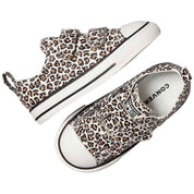 Imagen del producto con referencia A16589C