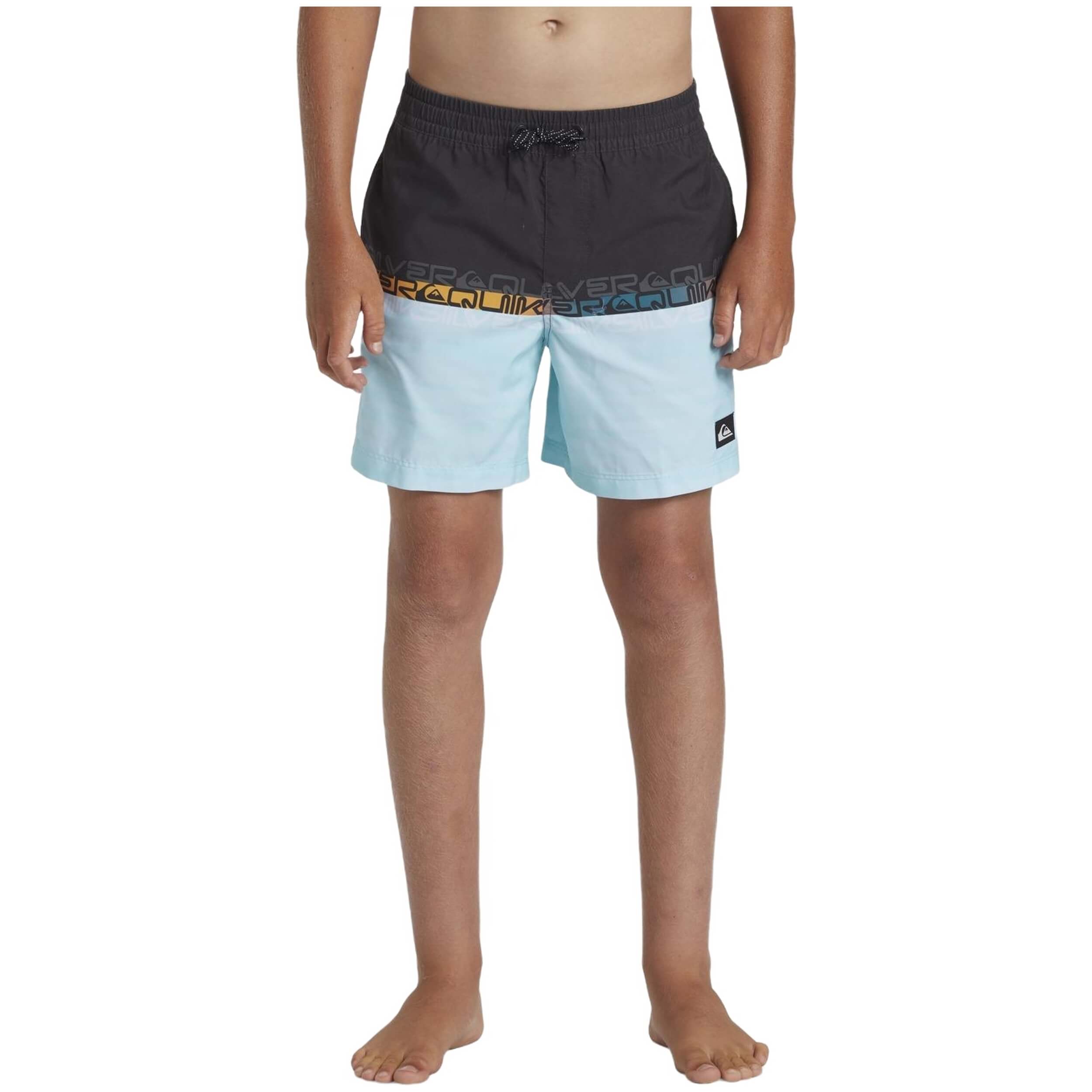 Bañador Quiksilver Everyday Wordblock