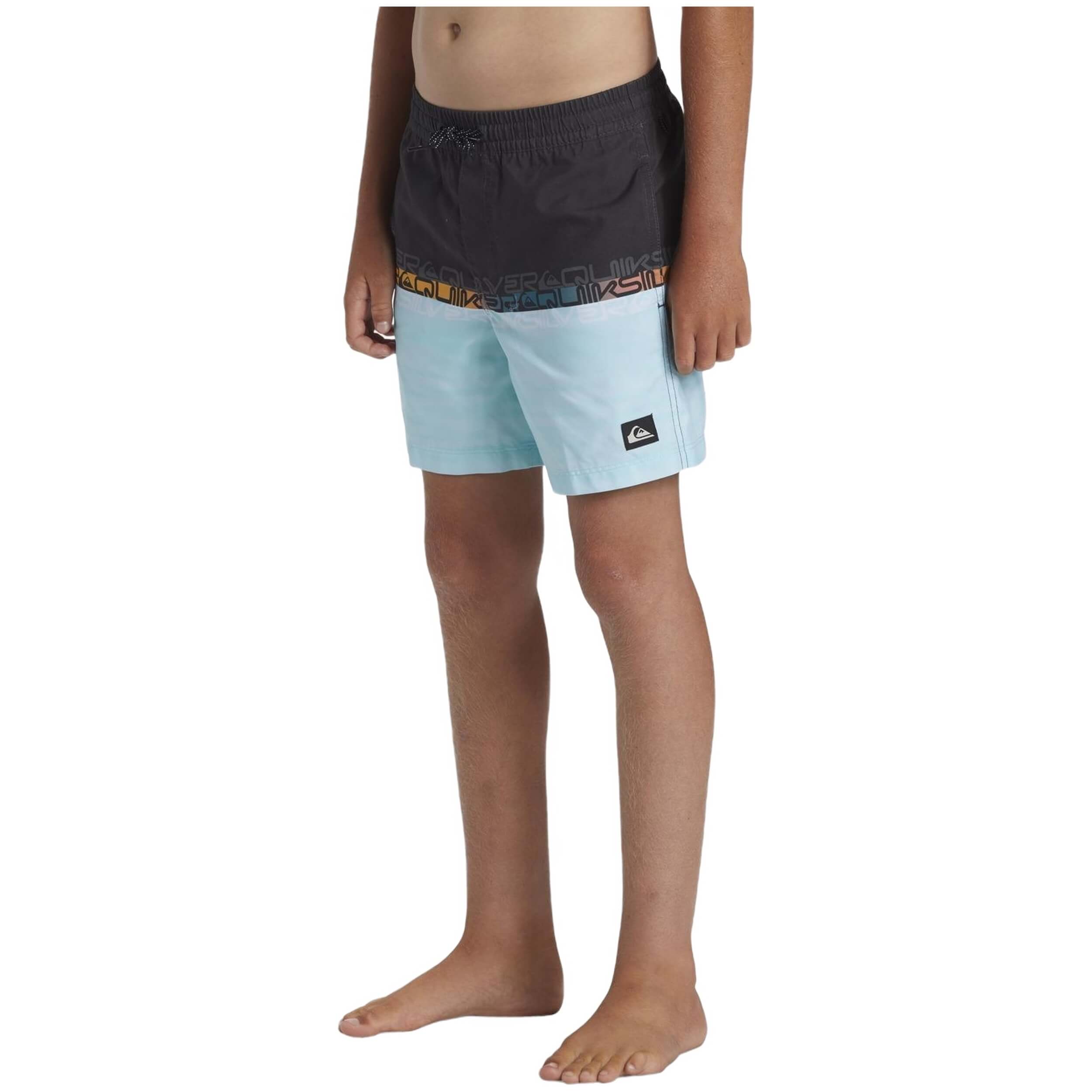 Bañador Quiksilver Everyday Wordblock