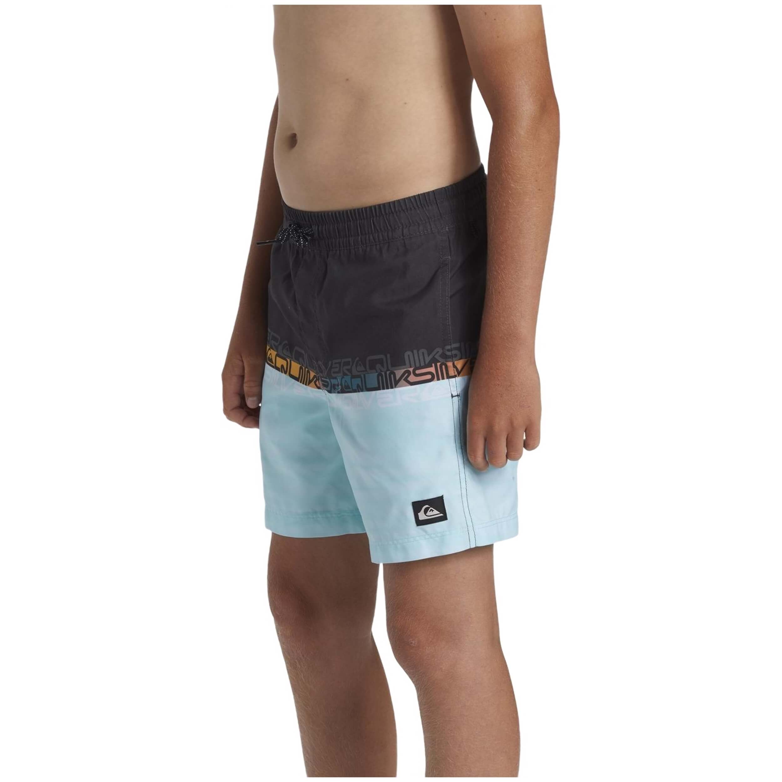 Bañador Quiksilver Everyday Wordblock