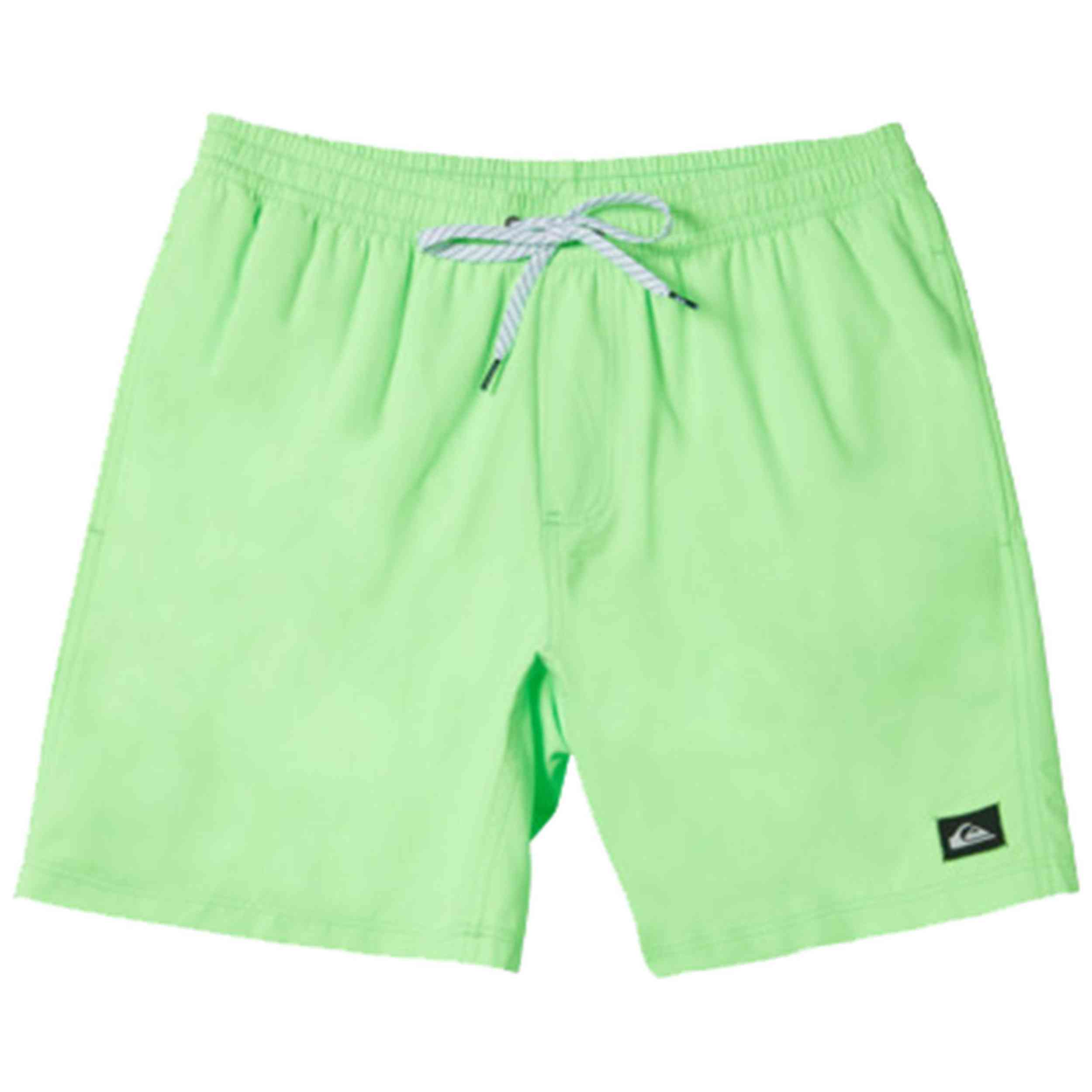 Bañador Quiksilver Everyday Solid Volley 15