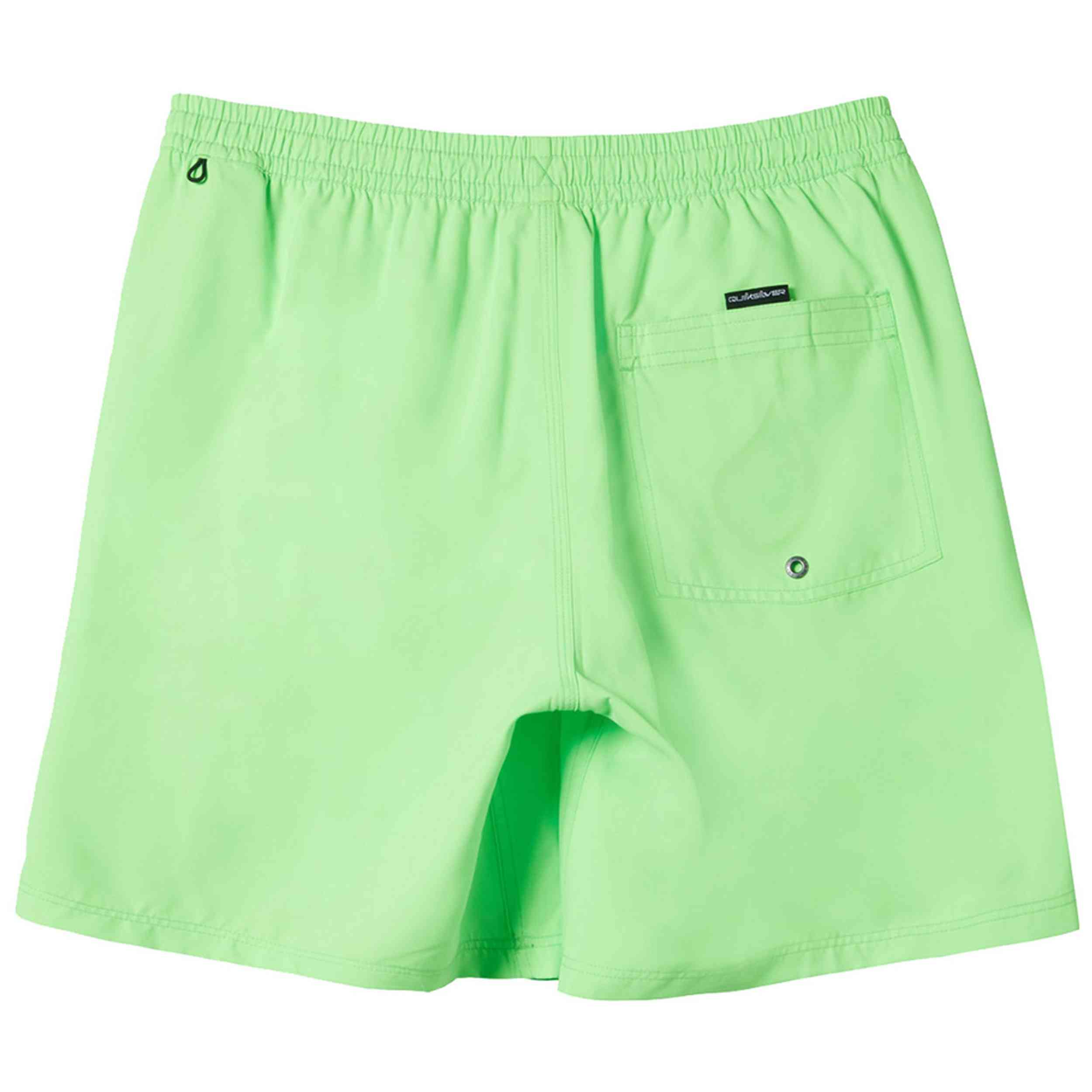 Bañador Quiksilver Everyday Solid Volley 15