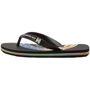 Chanclas Quiksilver Molokai Art