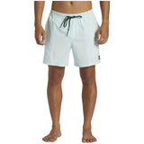 Quiksilver Surfsilk Vly 16 Shorts
