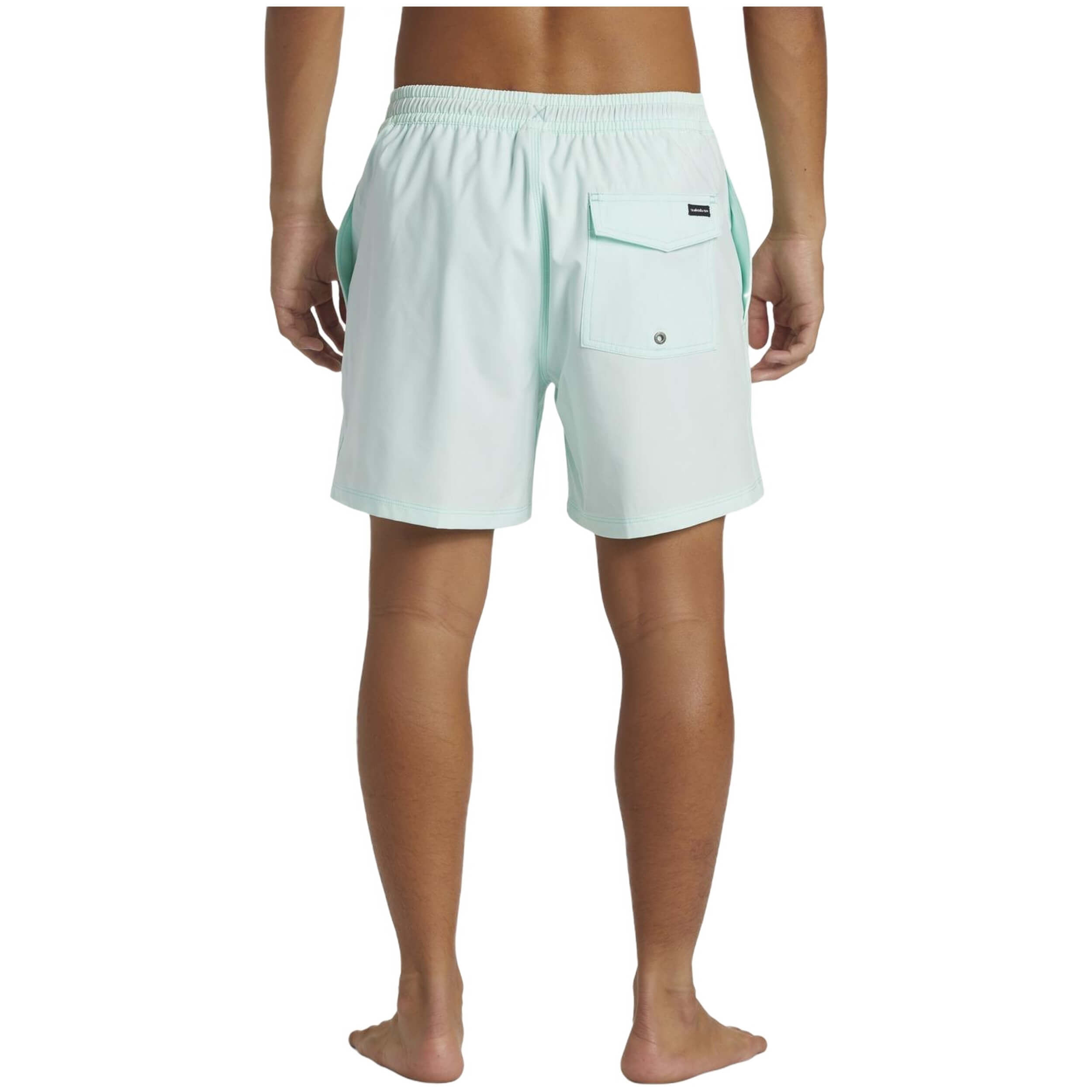 Pantalon Corto Quiksilver Surfsilk Vly 16