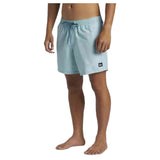 Quiksilver Solid 15