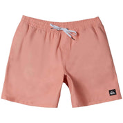 Pantalon Corto Quiksilver Solid 15