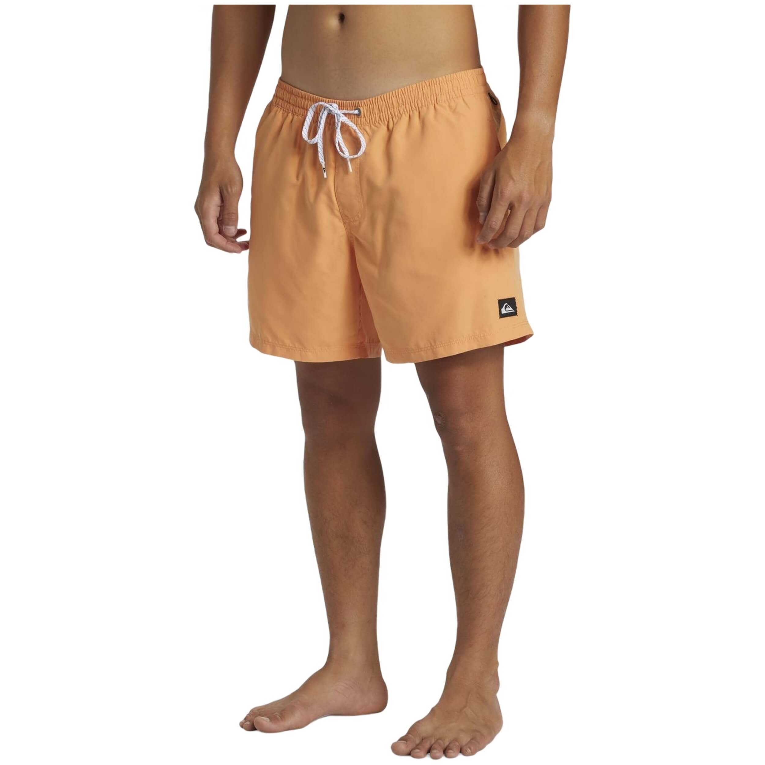 Bañador Quiksilver Everyday Solid Volley 15