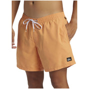 Bañador Quiksilver Everyday Solid Volley 15