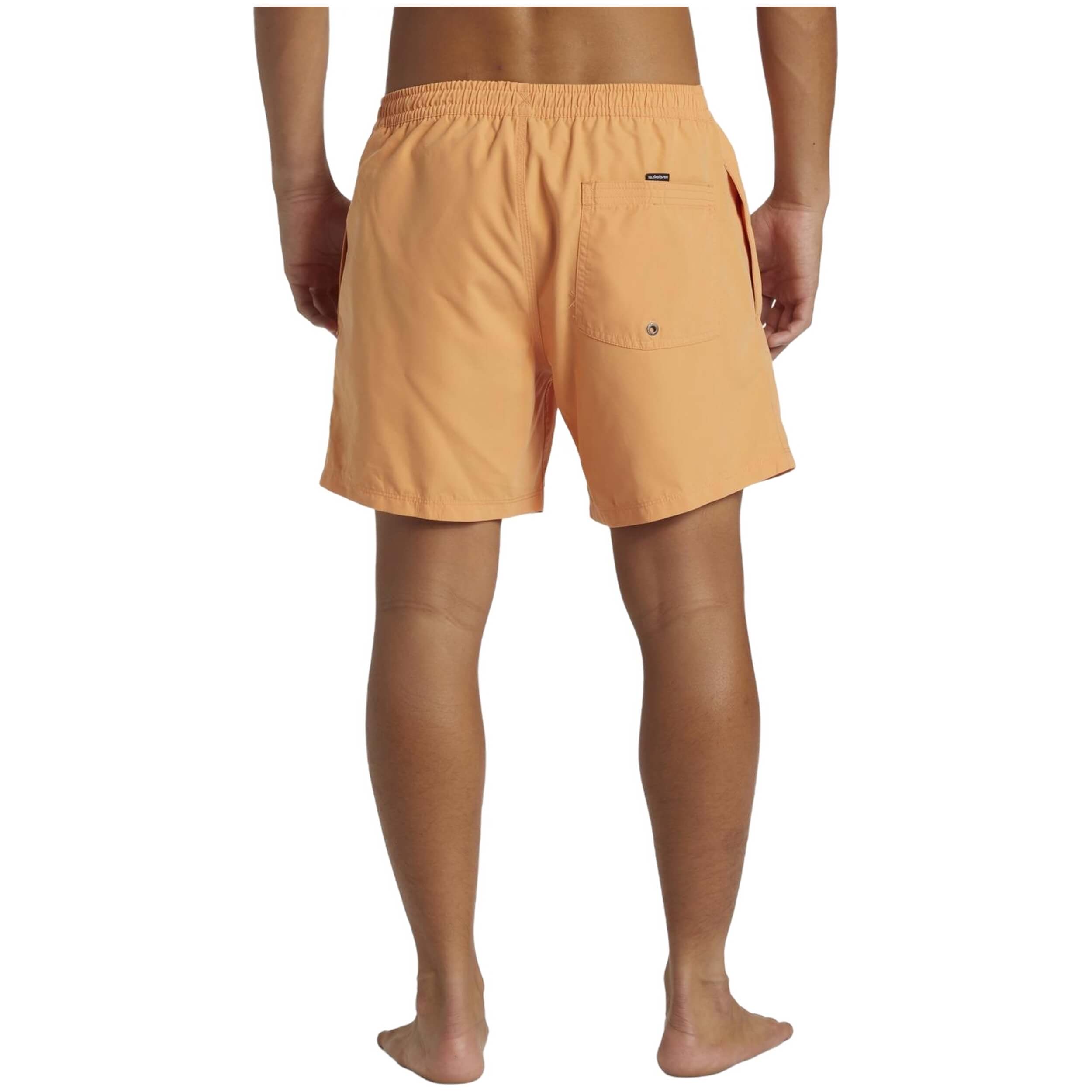 Bañador Quiksilver Everyday Solid Volley 15