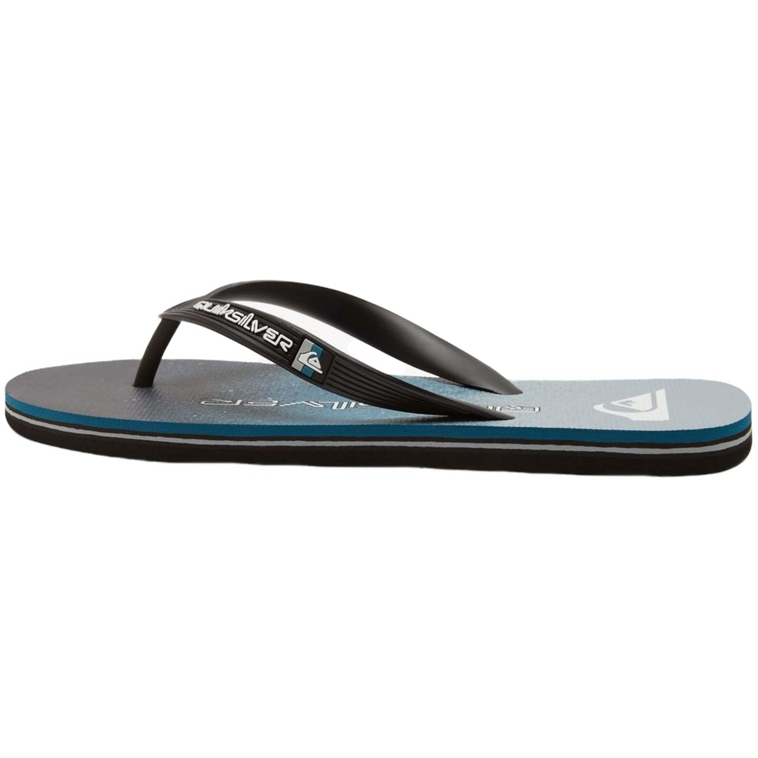 Chanclas Quiksilver Molokai Art