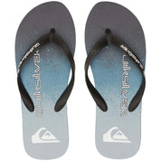 Chanclas Quiksilver Molokai Art