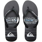 Chanclas Quiksilver Molokai Stripe