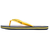 Chanclas Quiksilver