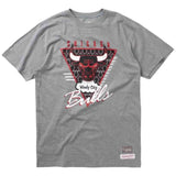 Camiseta De Manga Corta Mitchell & Ness