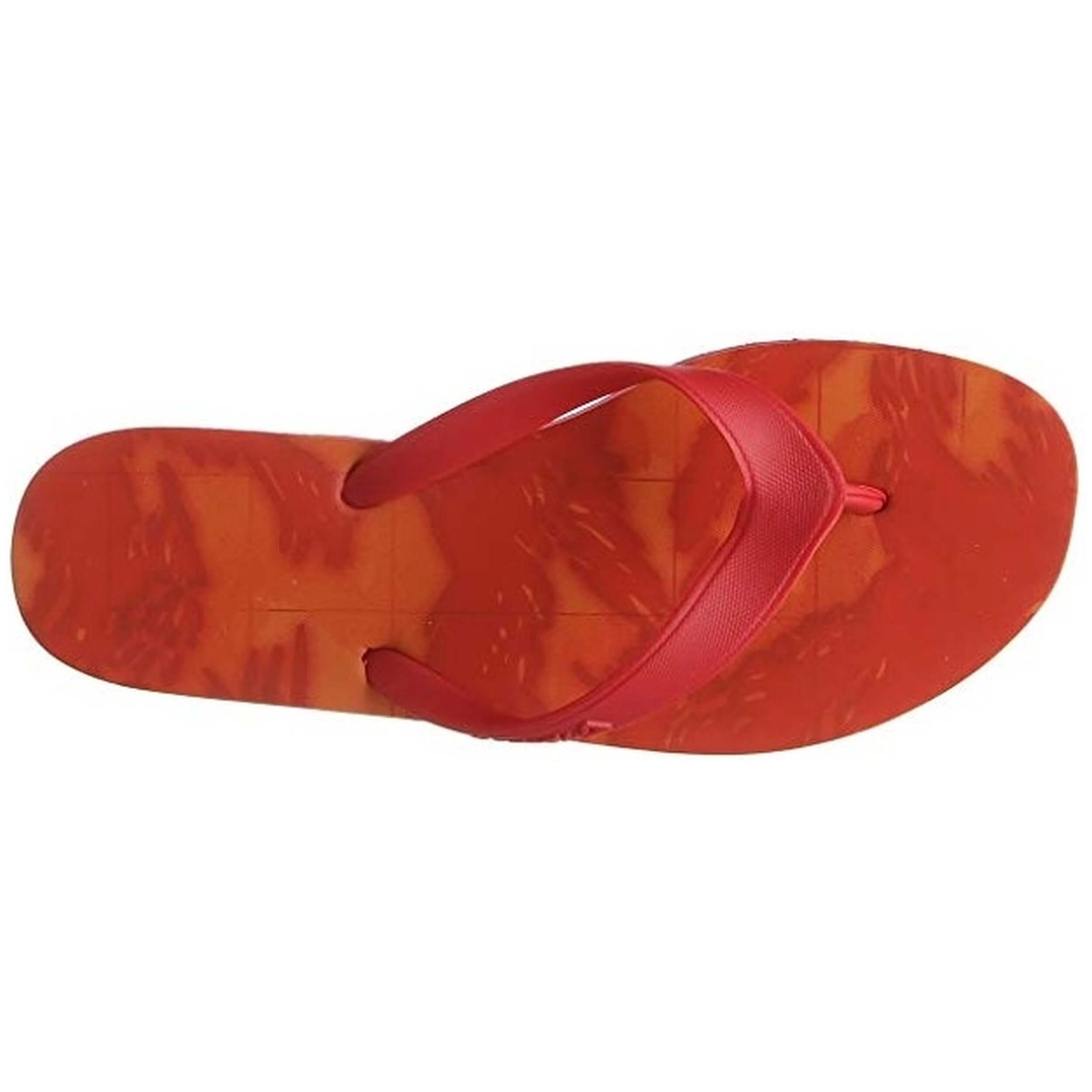 Imagen del producto con referencia BS9949
