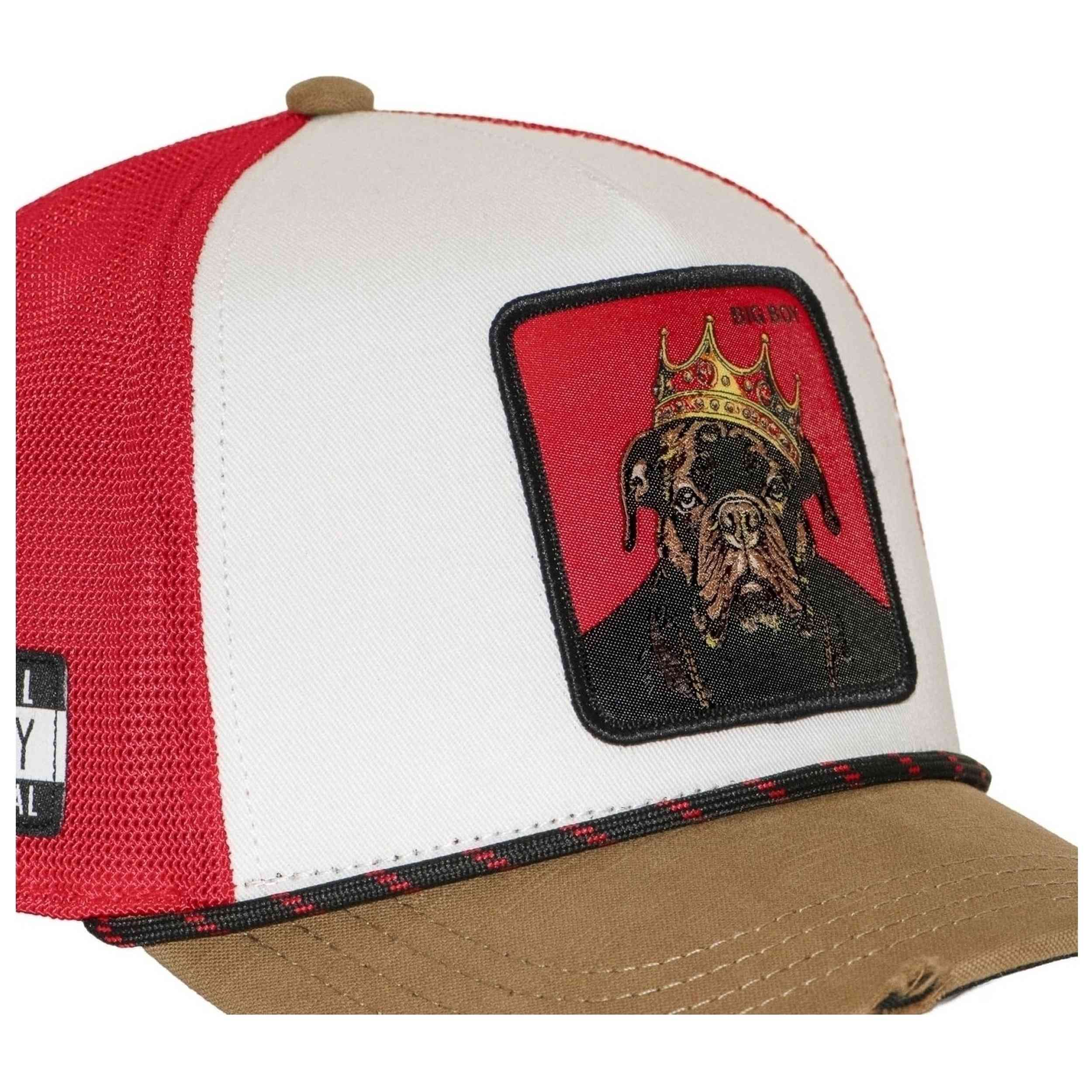 Imagen del producto con referencia CL-HIP-1-PCT-BIGB-RED