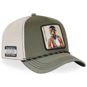 Imagen del producto con referencia CL-HIP-1-PCT-HASFB-GREEN
