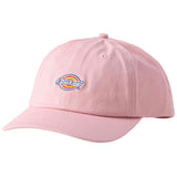 Gorra Dickies Hardwick