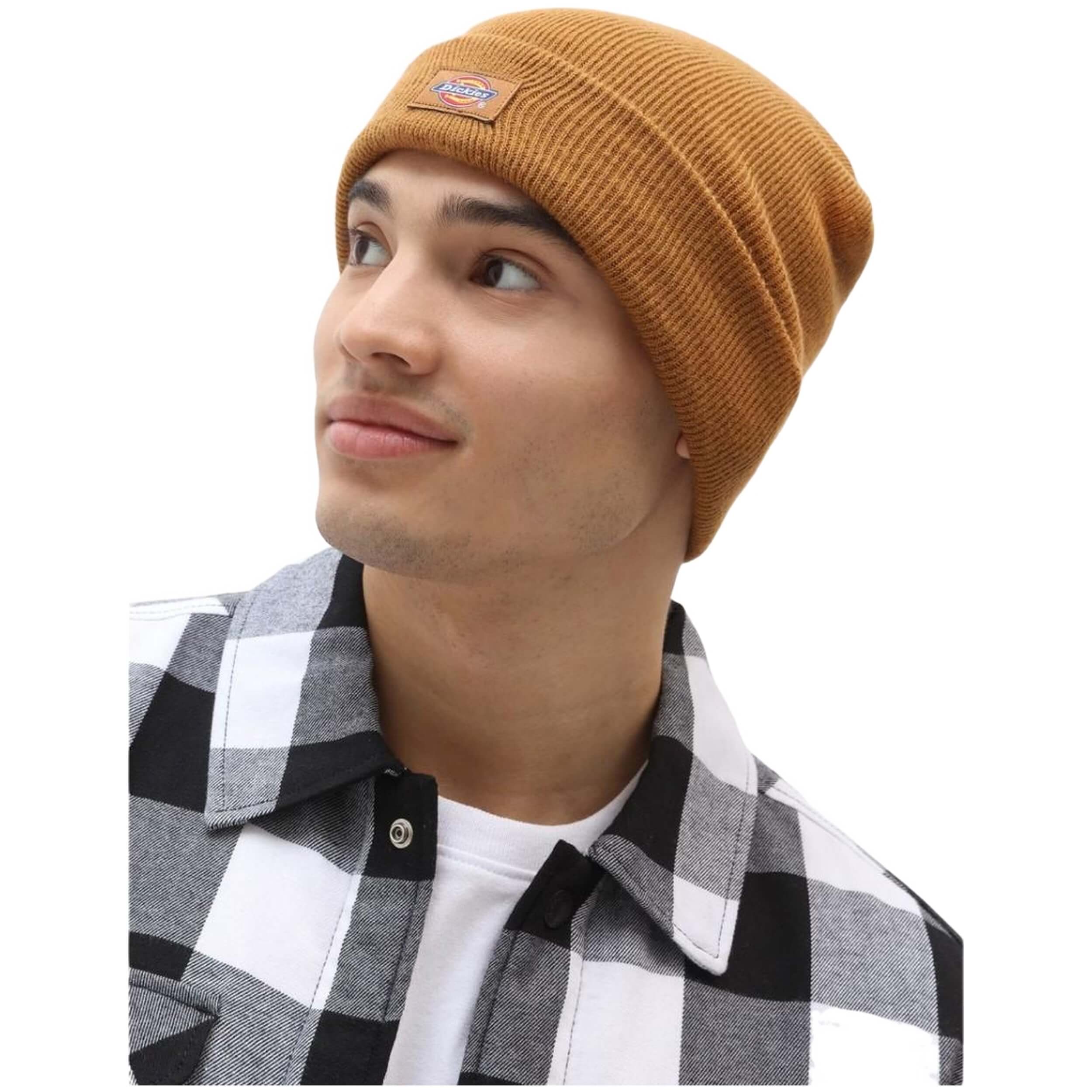 Gorro Dickies Gibsland