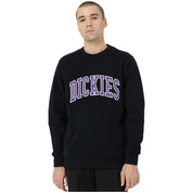 Sudadera Dickies