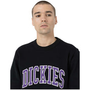 Sudadera Dickies