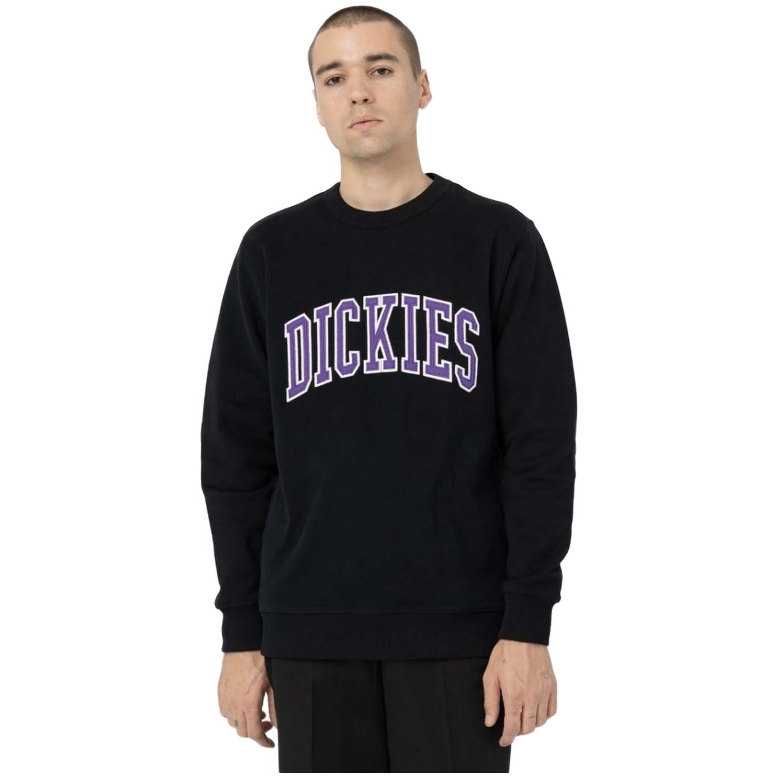 Sudadera Dickies Aitkin