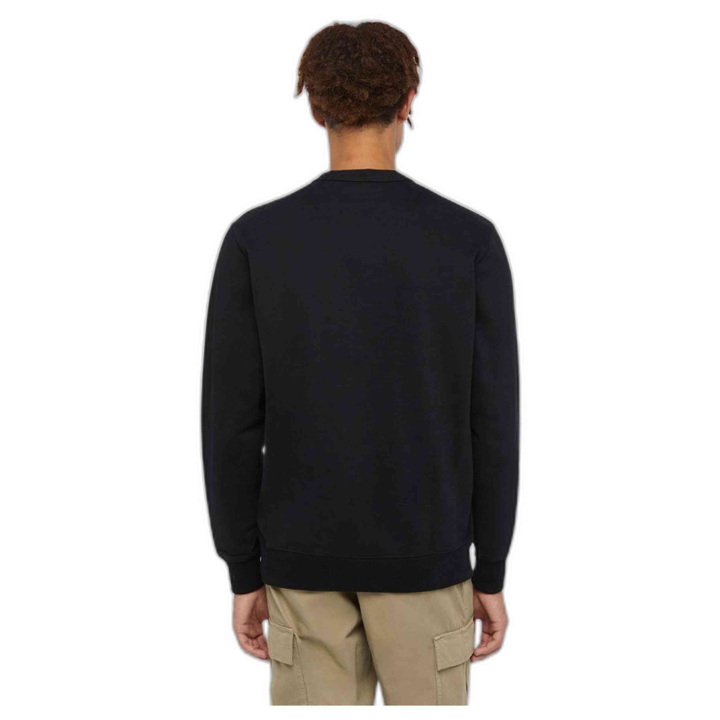 Sudadera Dickies Aitkin