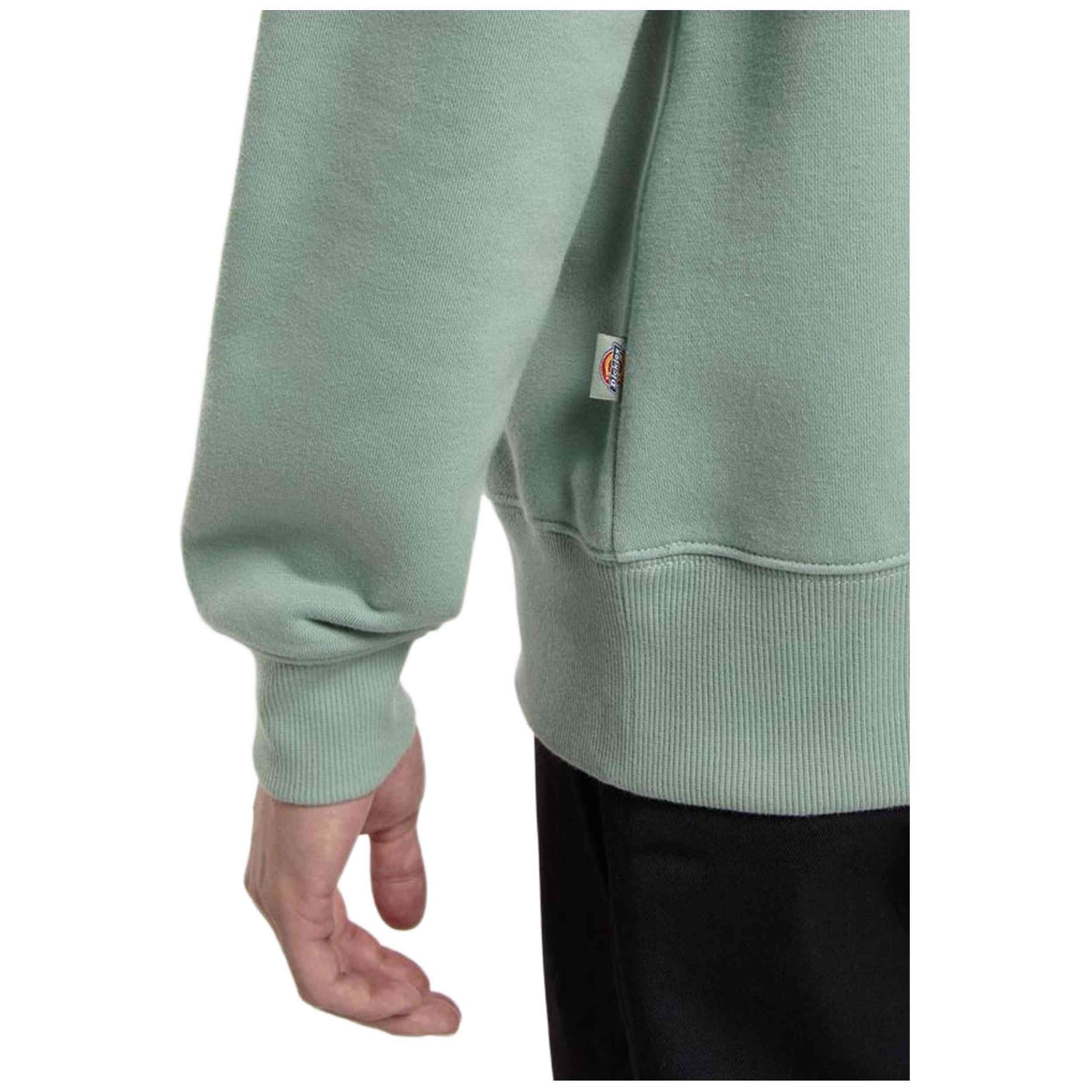 Sudadera Dickies Oakport