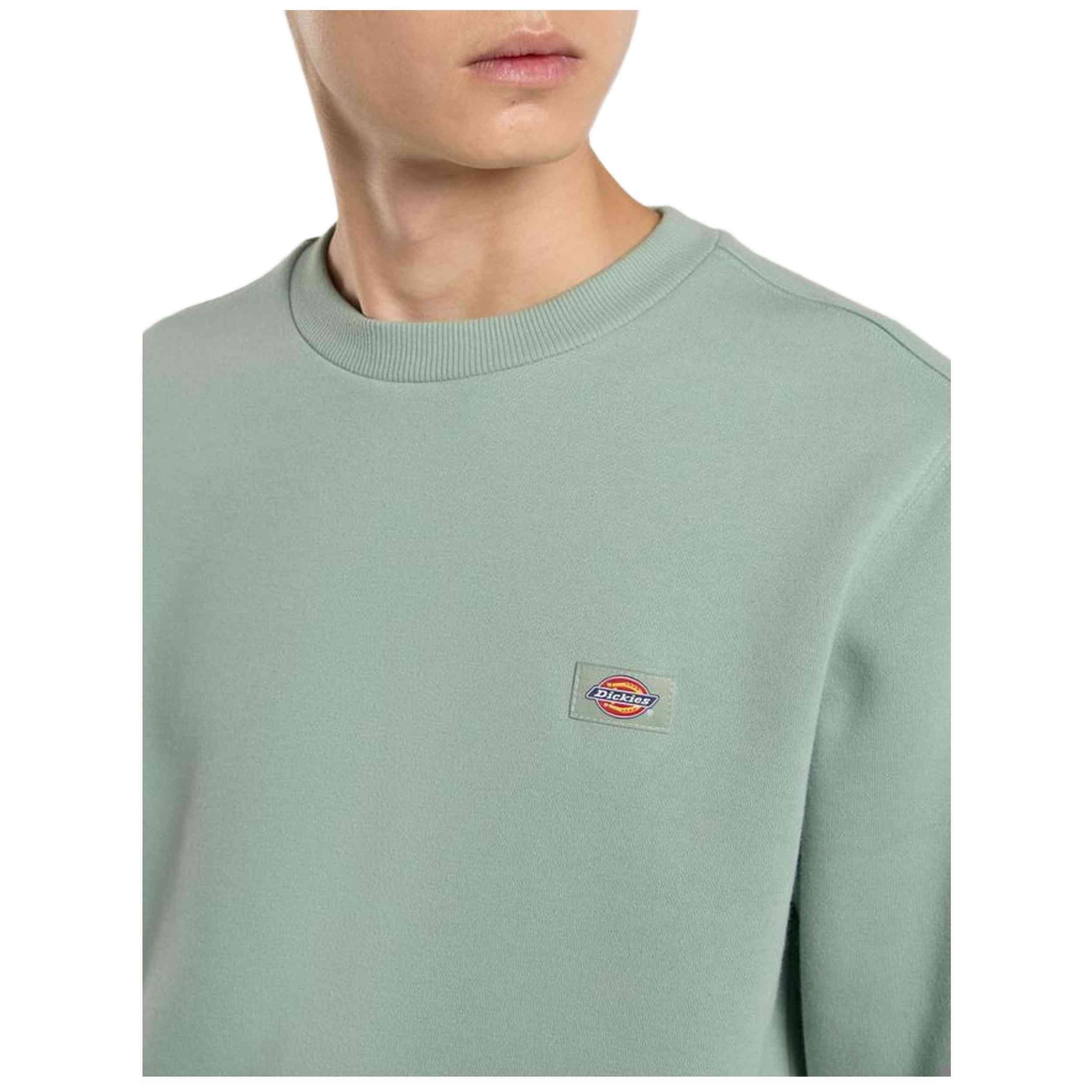 Sudadera Dickies Oakport