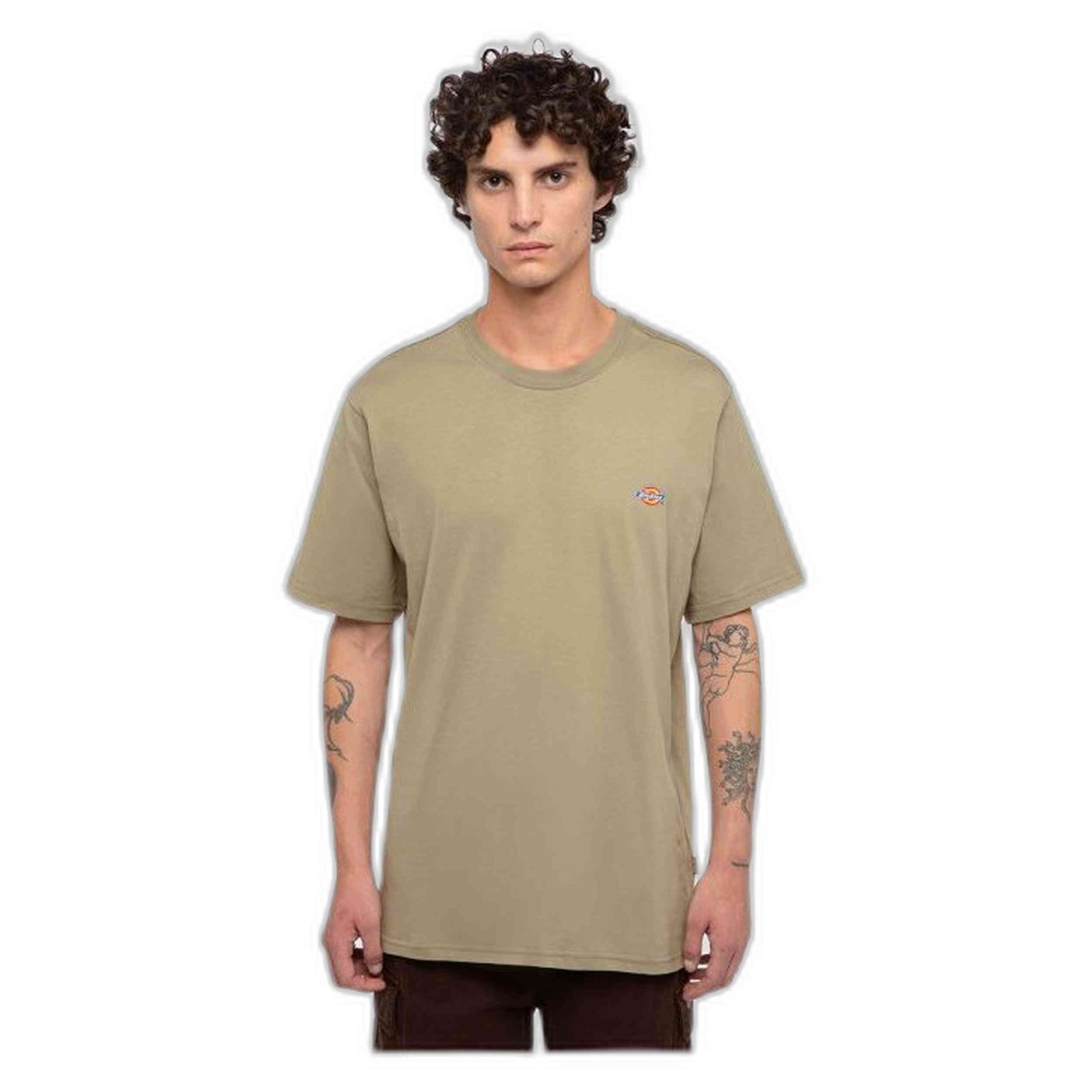Camiseta De Manga Corta Dickies Mapleton