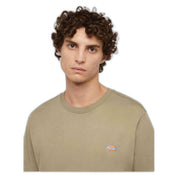 Camiseta De Manga Corta Dickies Mapleton