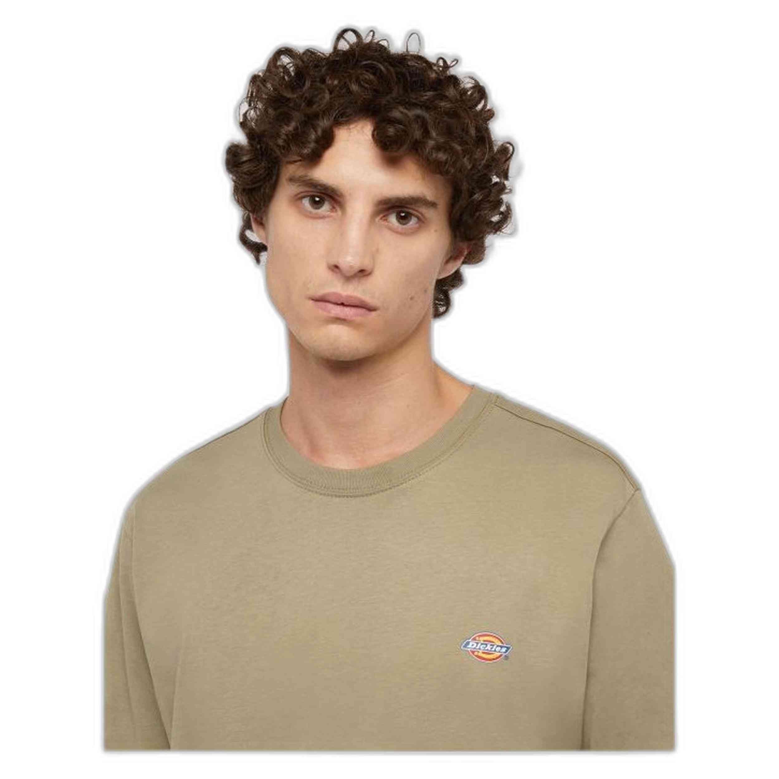 Camiseta De Manga Corta Dickies Mapleton