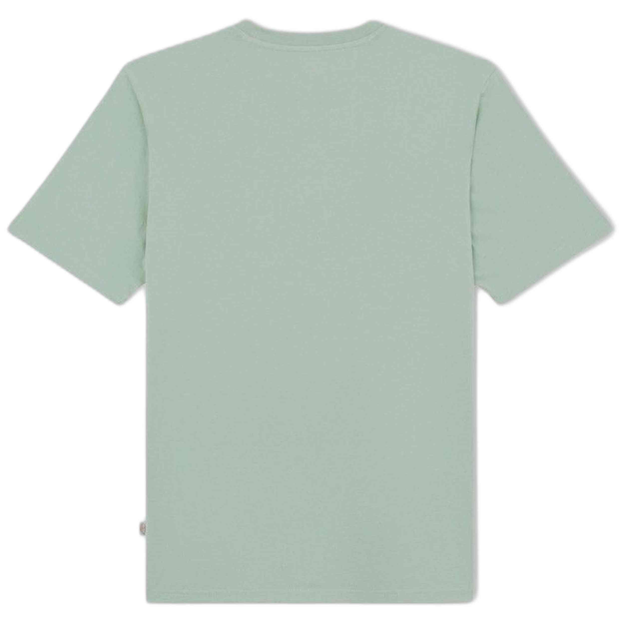 Camiseta De Manga Corta Dickies Mapleton