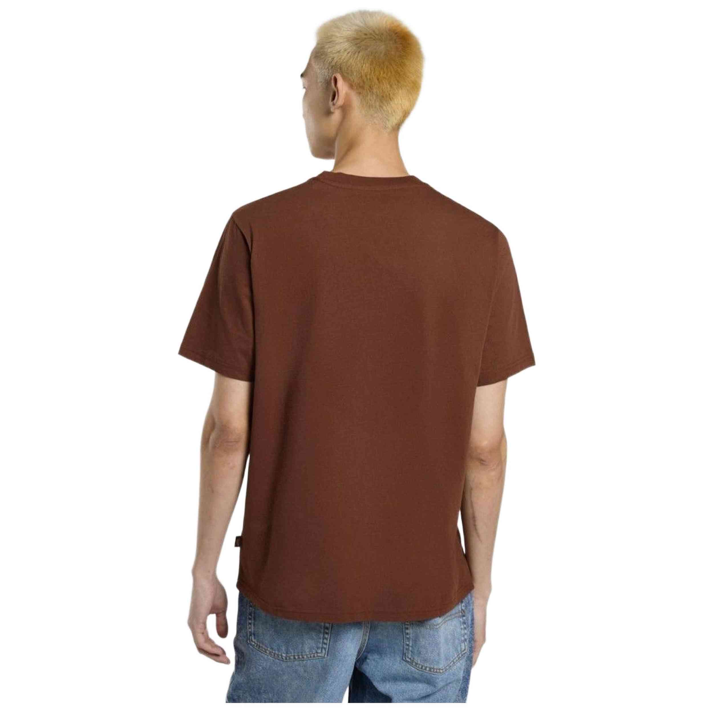 Camiseta De Manga Corta Dickies Mapleton