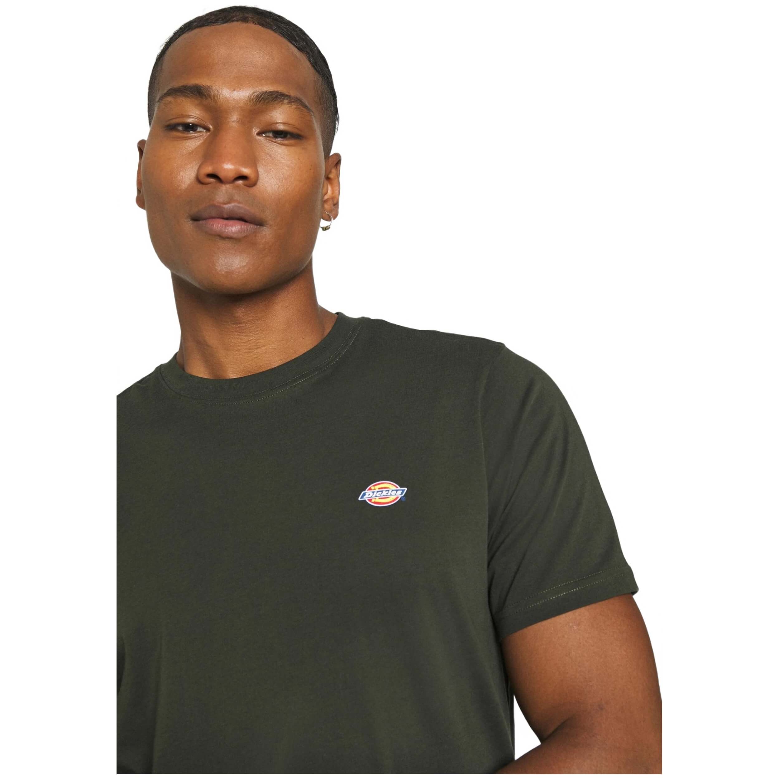 Dickies Ss Mapleton Tee Short Sleeve T-Shirt