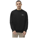 Sudadera Adidas Dickies Bettles - Sudadera