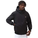 Chaqueta Dickies New Sarpy
