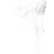 Imagen del producto con referencia DK0A4XJCBKL109