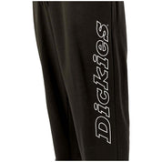 Dickies Uniontown Long Pants