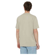 Camiseta De Manga Corta Dickies Aitkin
