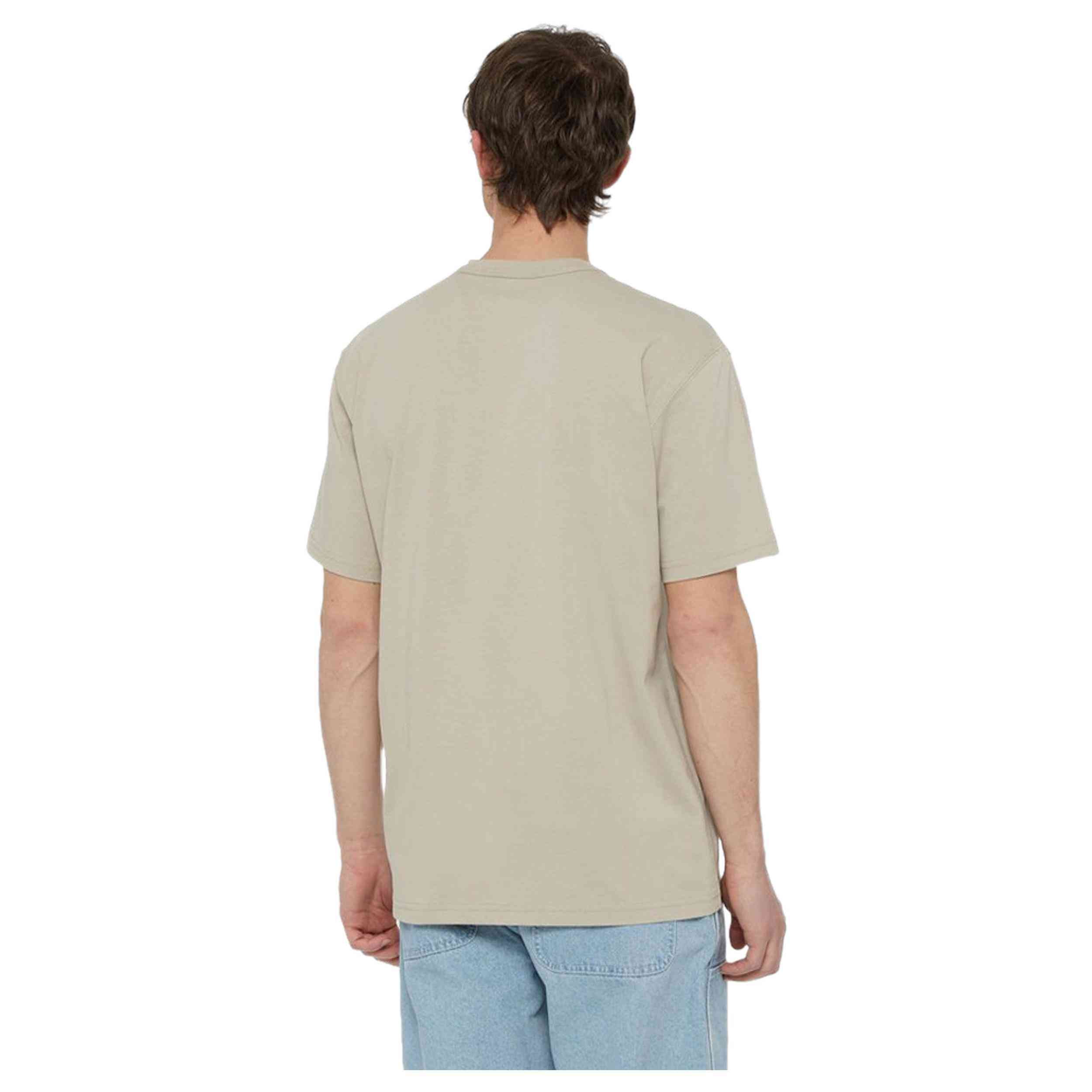 Camiseta De Manga Corta Dickies Aitkin