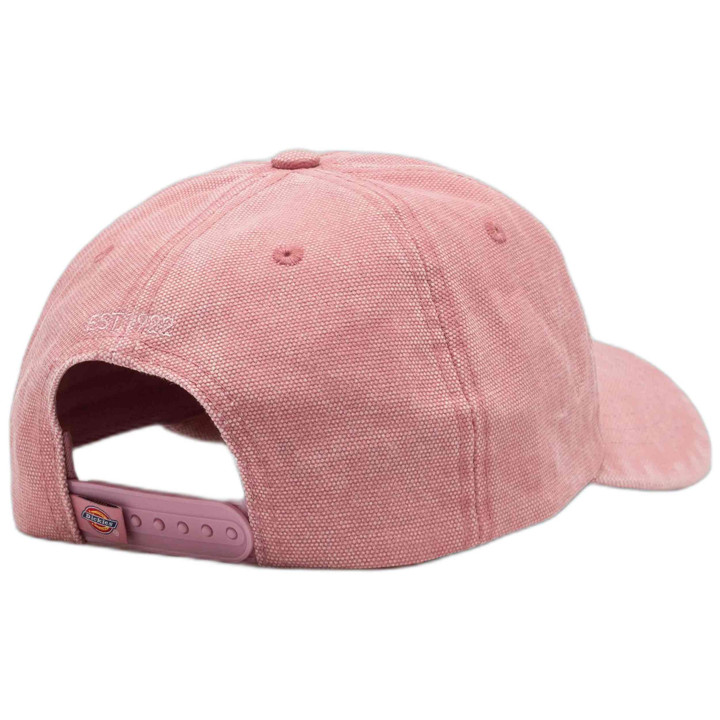 Gorra Dickies Hardwick
