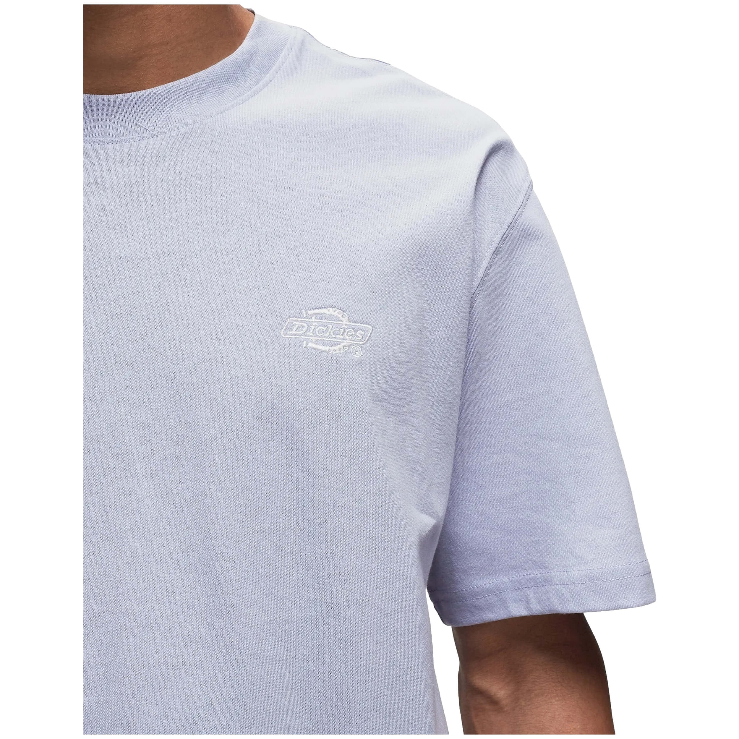 Dickies Summerdale Short Sleeve T-Shirt