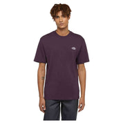 Camiseta De Manga Corta Dickies Summerdale